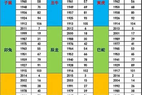 2028年五行属什么